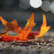 Illustration for article titled 100 Gorgeous Photos Of Fall Leaves